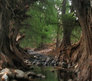  路线和景观 